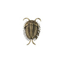 Cambrian Brass Trilobite Insect Ornament Retro Style Desk Accessories Tea Pet Unique Collectible for Office Home Decor Vue 1Pc