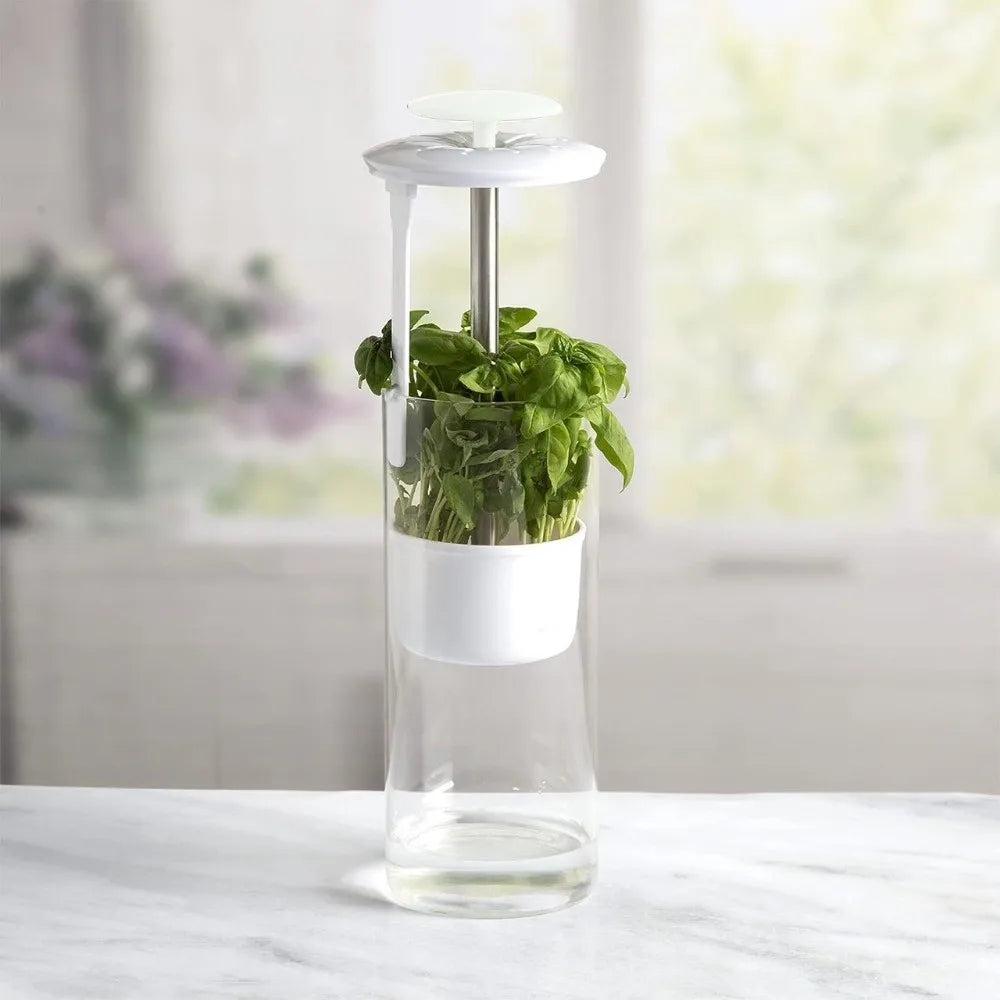 Transparent Longer Fresh Herb Keeper Dust-proof Water Plantin Herb Saver Anti-pressure Environmental Vue