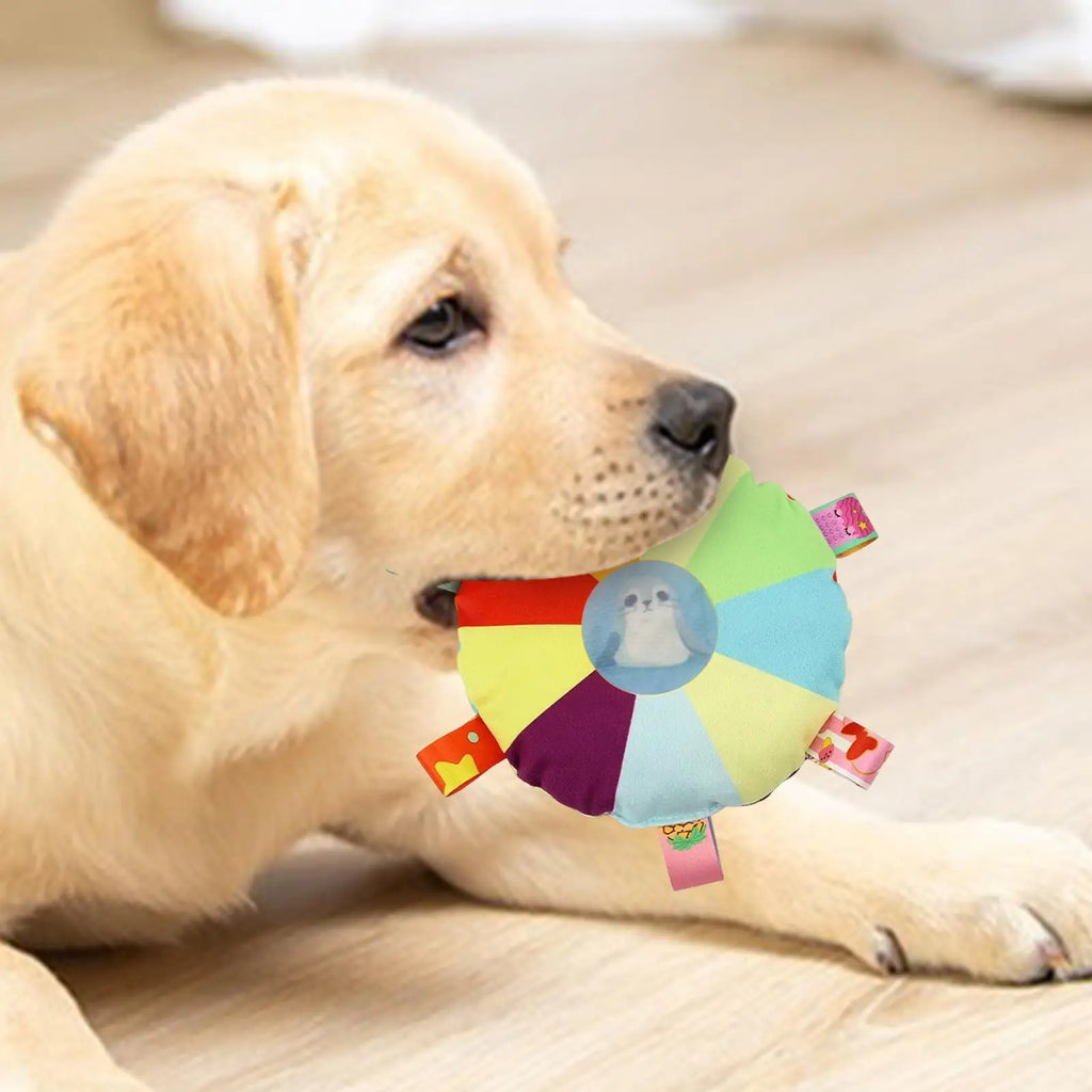 Colorful Squeaky Dog Toy with Elastic Rope, Interactive Soft Chew Toy for Indoor Outdoor, Pet Play Fetch Tug for Park Garden Vue