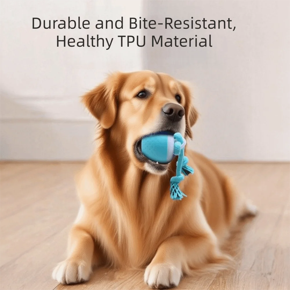 Bite Resistant Smart Pet Ball USB Charging Random Path Automatic Moving Ball with Rope Electronic Active Rolling Ball Vue