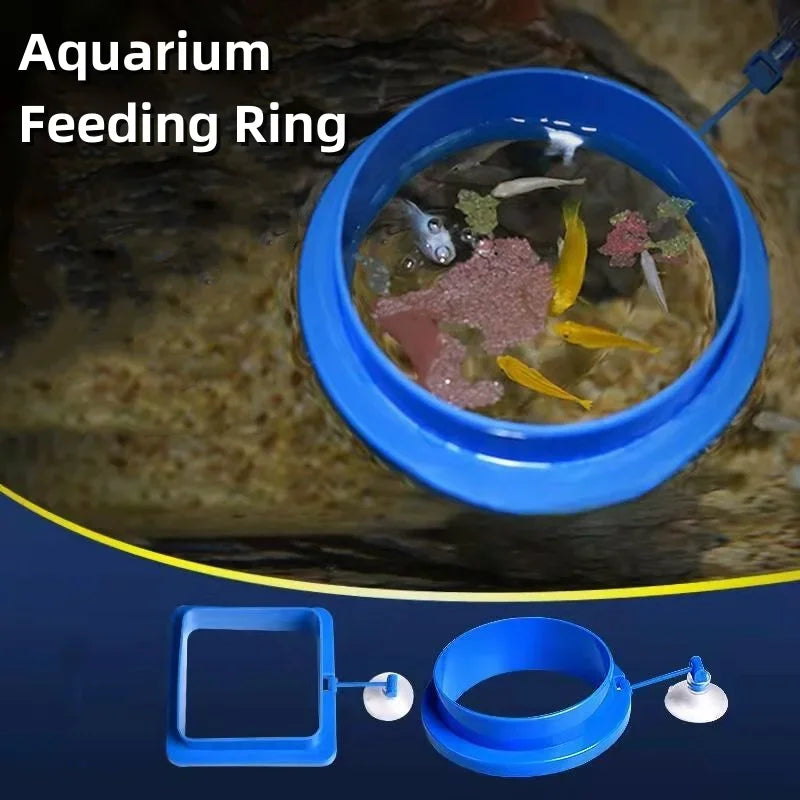 1pc Fish Feeding Supplies Plastic Buoyancy Circle Fish Tank Floating Food Tray Square/Round Aquarium Fish Food Feeding Ring Vue