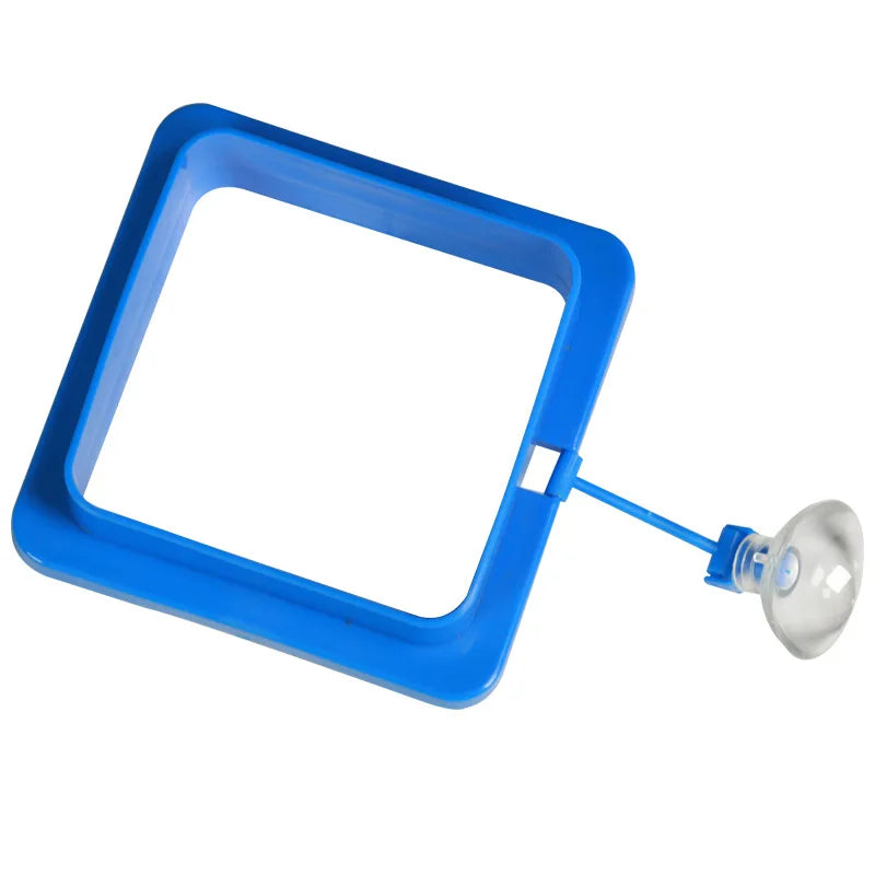 1pc Fish Feeding Supplies Plastic Buoyancy Circle Fish Tank Floating Food Tray Square/Round Aquarium Fish Food Feeding Ring Vue