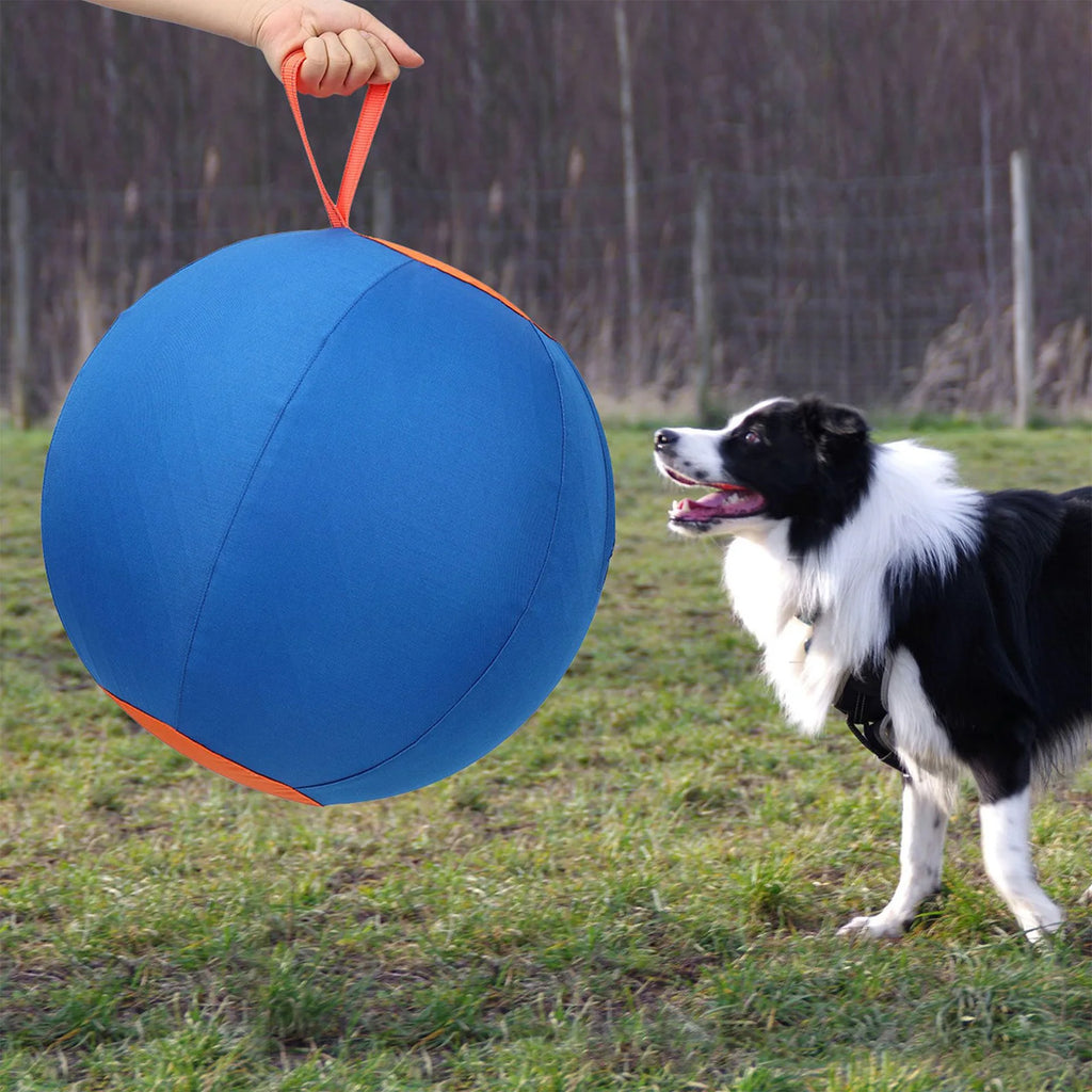 Dog Herding Ball – Tear-Resistant Inflatable Toy with Pump Inflatable Dog Toy Vue