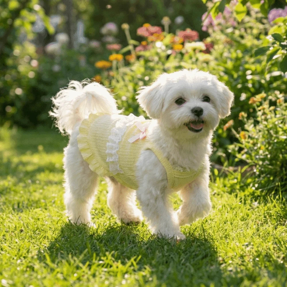 Fashion Breathable Pet Tank Top Floral Lace Lightweight Dog Dresses Princess Sleeveless Puppy Sling Skirt Summer Daily Wear Vue