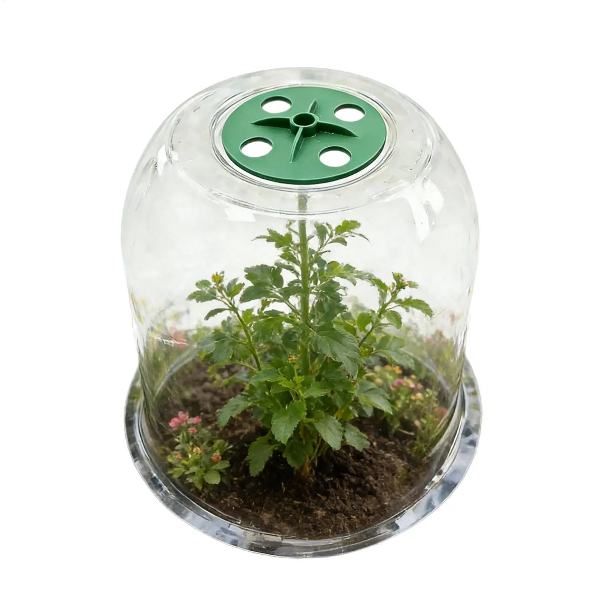 Plant Frost Cover Transparent Flower Frost Cover Flowerpot Cold Protector for Greenhouse Outdoor Indoor Garden Balcony Nursery Vue
