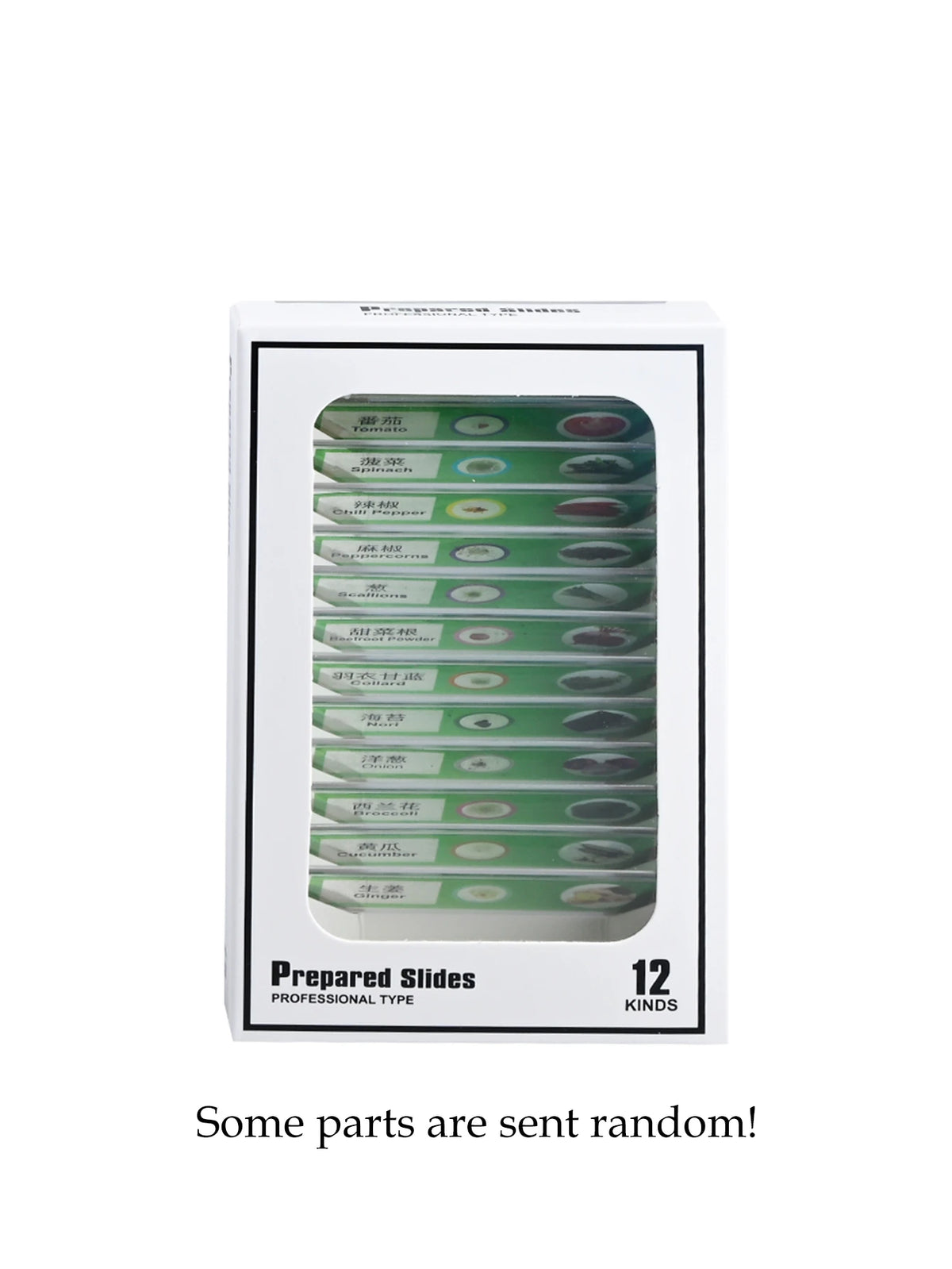 12Pcs Microscope Slides Toys, Plastic Biological Prepared Slide with Specimens Science Education for Kids Vue green
