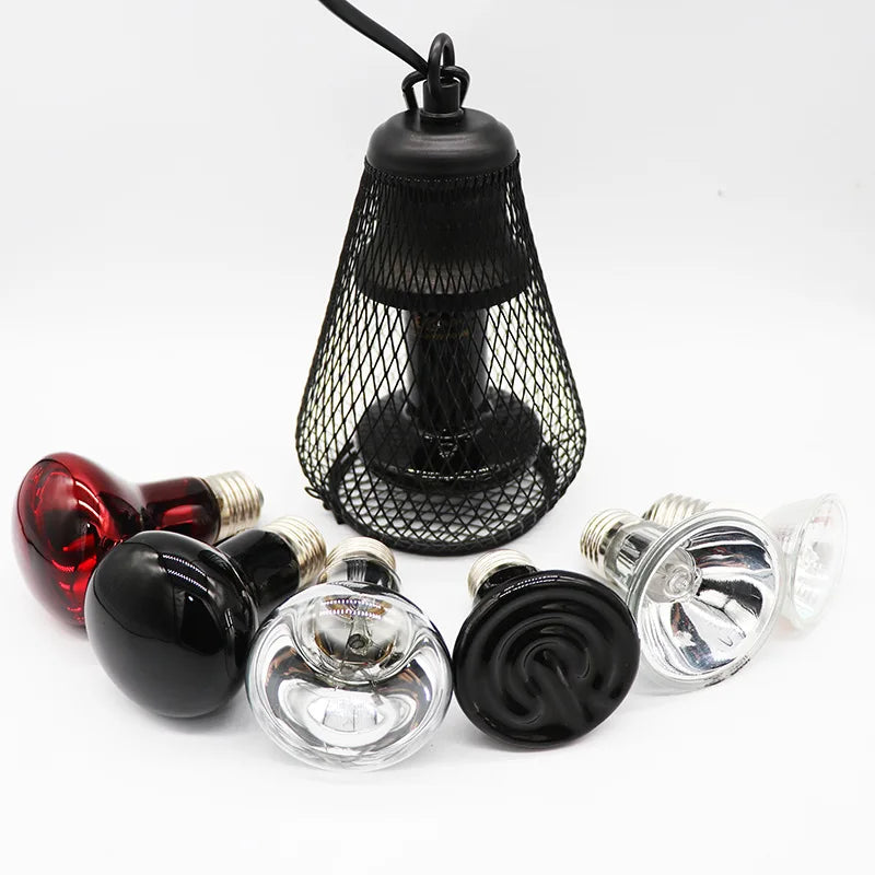 Pet Reptile Heating Lamp Infrared Ceramic Emitter Heat Light Pet Coop Heater Guard Turtle Snake lizard Bird Light Fixture Kits Vue
