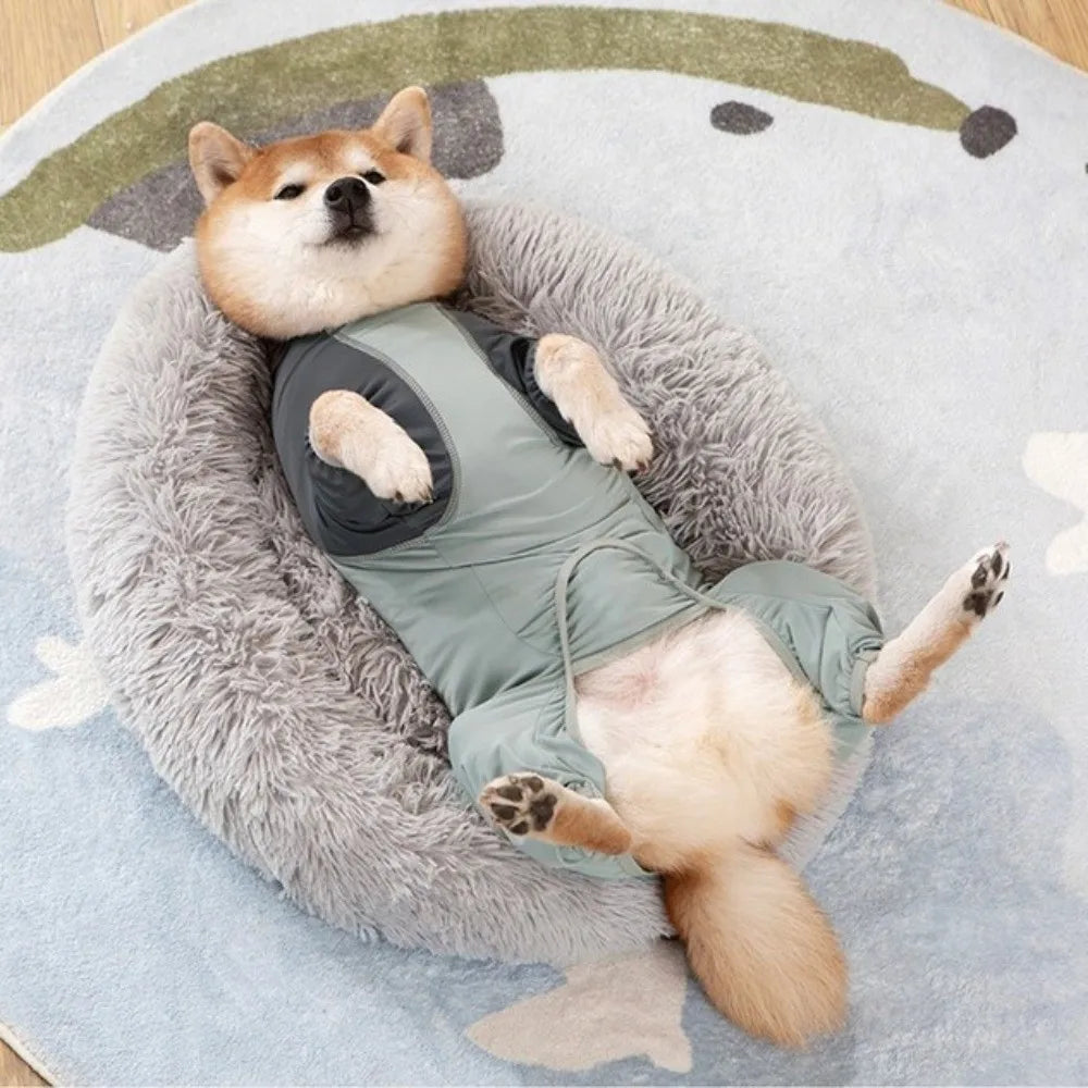Breathable Dog Cooling Jumpsuit Quick Drying Sun Protection Dog Sunscreen Costume Cool Feeling Lightweight Vue