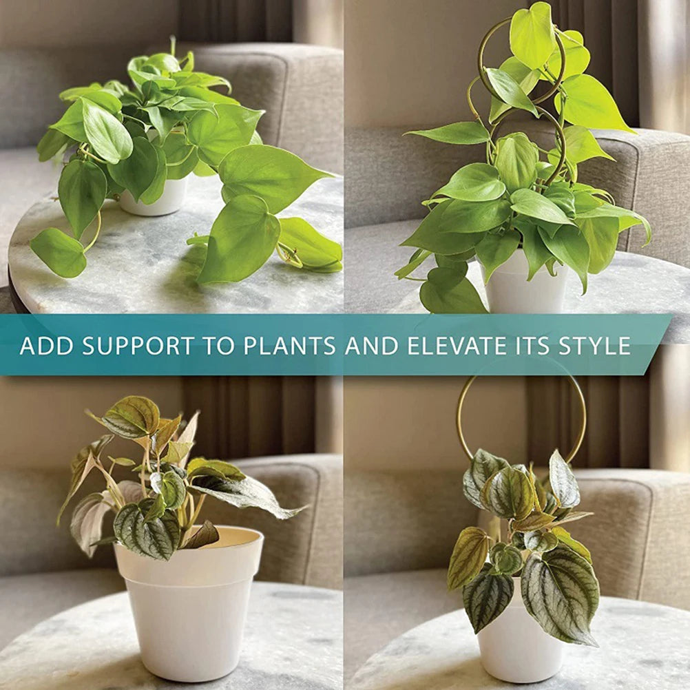 4PCS Iron Plant Climbing Frame Potted Flower Arrangement Support for Green Plants, Support Climbing Vines & Flowers Vue