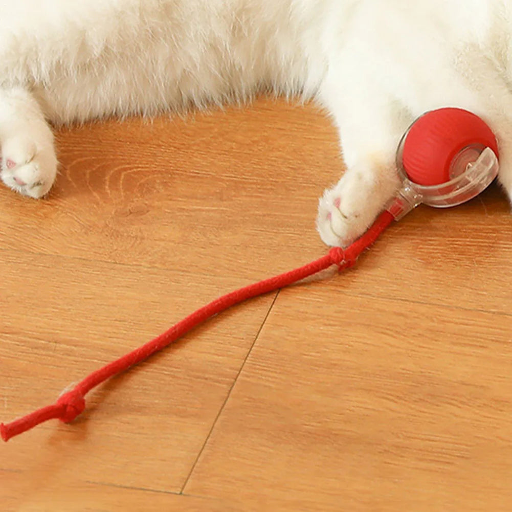 Red/Green Cat Ball Toy Automatic Cat Toy Rechargeable Electric Cat Toy Ball Cat Puzzle Toy Cat Balls Intelligent Mouse For Cat Vue