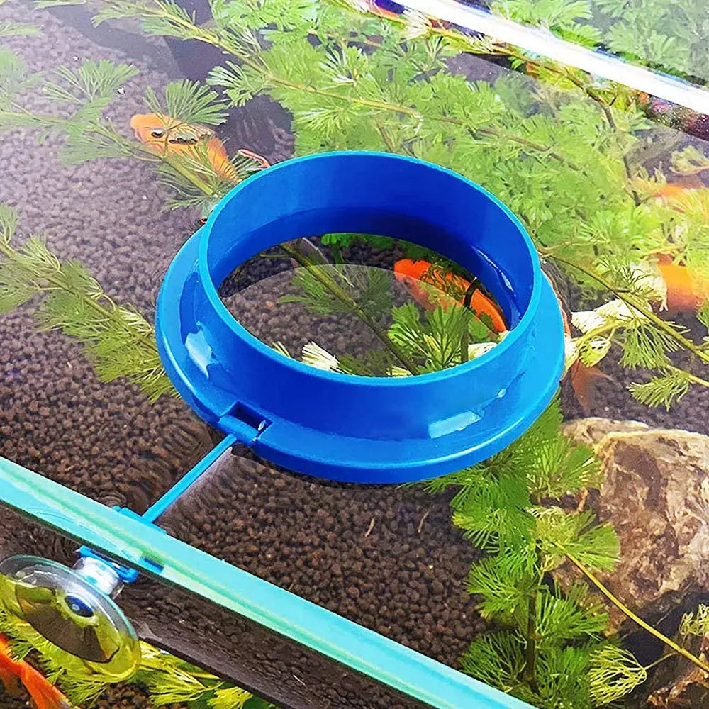 1pc Fish Feeding Supplies Plastic Buoyancy Circle Fish Tank Floating Food Tray Square/Round Aquarium Fish Food Feeding Ring Vue