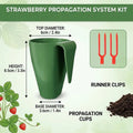 10 Pieces Strawberry Propagation Cups with 20 Runner Forks Breathable Reusable Rooting Kit for Garden Balcony Patio Greenhouse Vue small