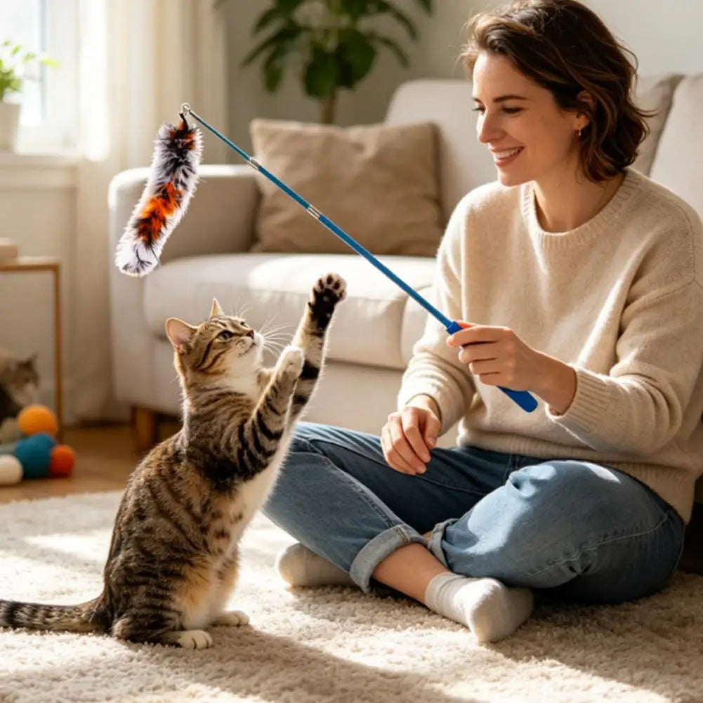 11pcs Funny Cat Stick Set Various Feathers Plush Toy Feather Replacement Head Retractable Rod Cat Self-entertainment Biting Toys Vue