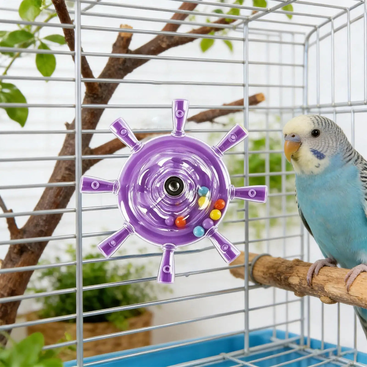 Parakeet Toys Colorful Interactive Rotating Small Wheel Rattle, Cage Parrot Spinner Toy for Cockatiels, Budgies, Conures, Parrot Vue