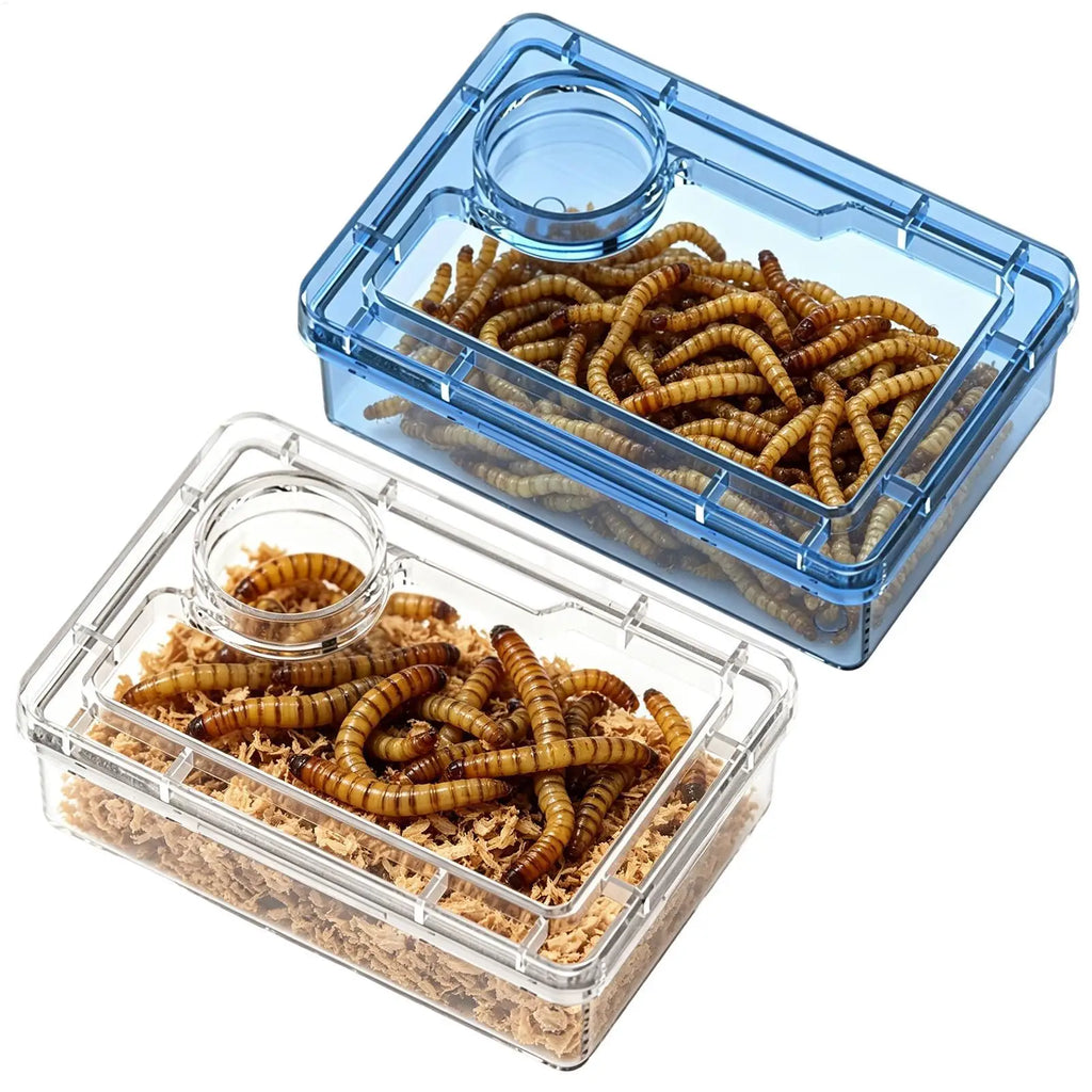 Safe Escape Proof Compartment Reptile Food Dish for Leopard Gecko Hermit Crab Frog Spider Chameleon Iguana Lizard Tarantula Vue