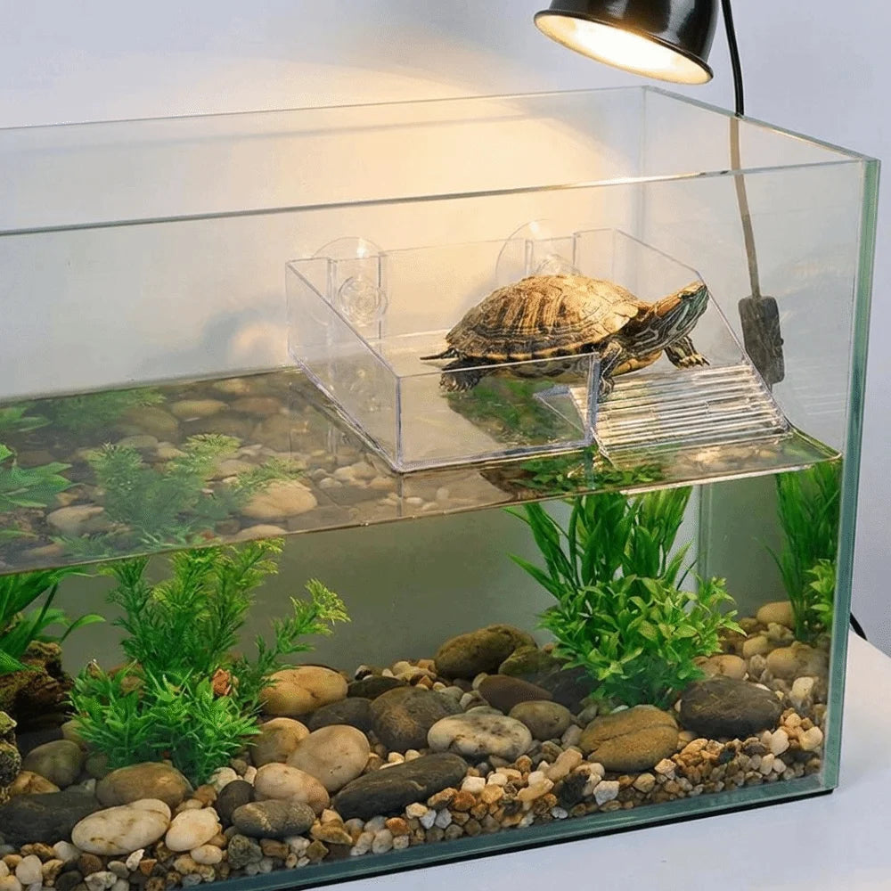 Plastic Turtle Basking Platform Height Adjustable Suction Cup Turtle Climbing Slope Non-Slip Sun Drying Dock Vue