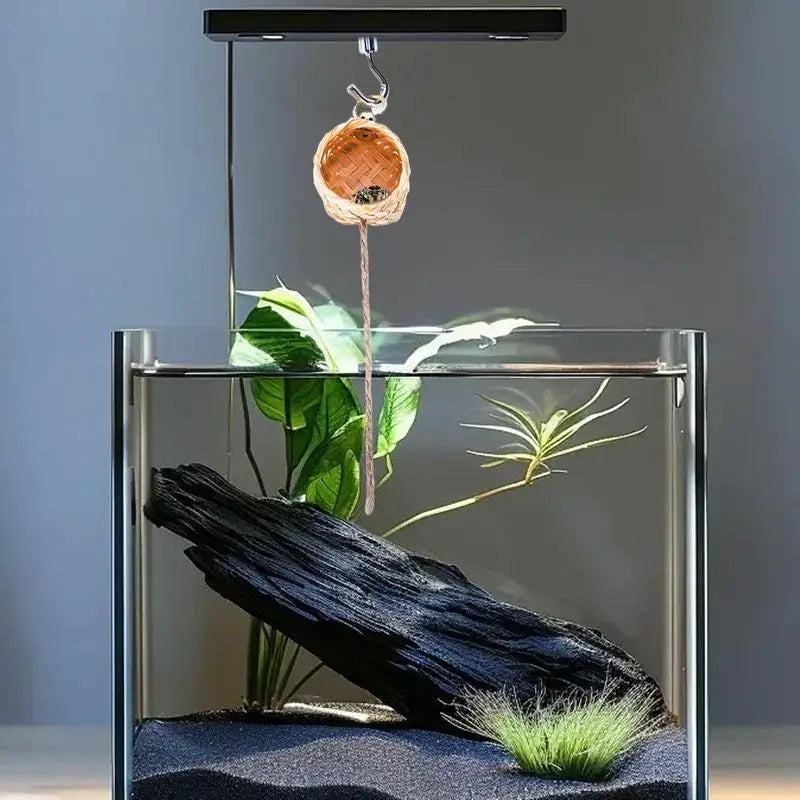 Natural Pet Spider Shelter House Jumping Spider Hideout Enclosure Small Animal Cage Decoration Handmade Spider Habitat Accessory Vue