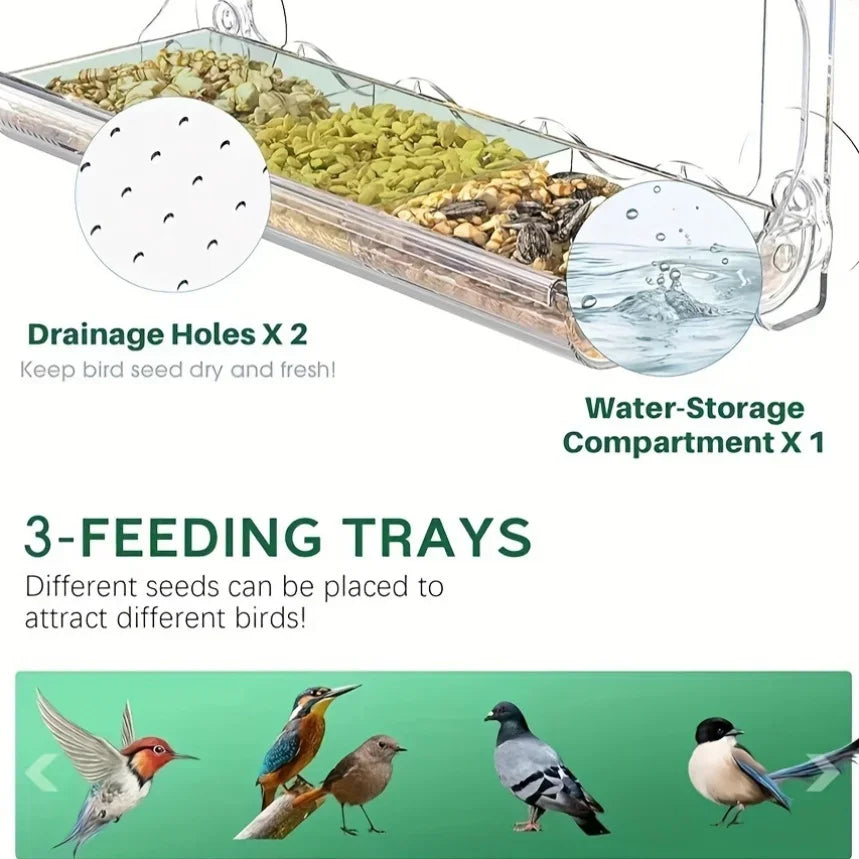 Parrot Acrylic Hanging Bird Feeder with Suction Cups Bird Food Feeding House Hanging Birdhouse Feeder for Outside Garden Yard Vue