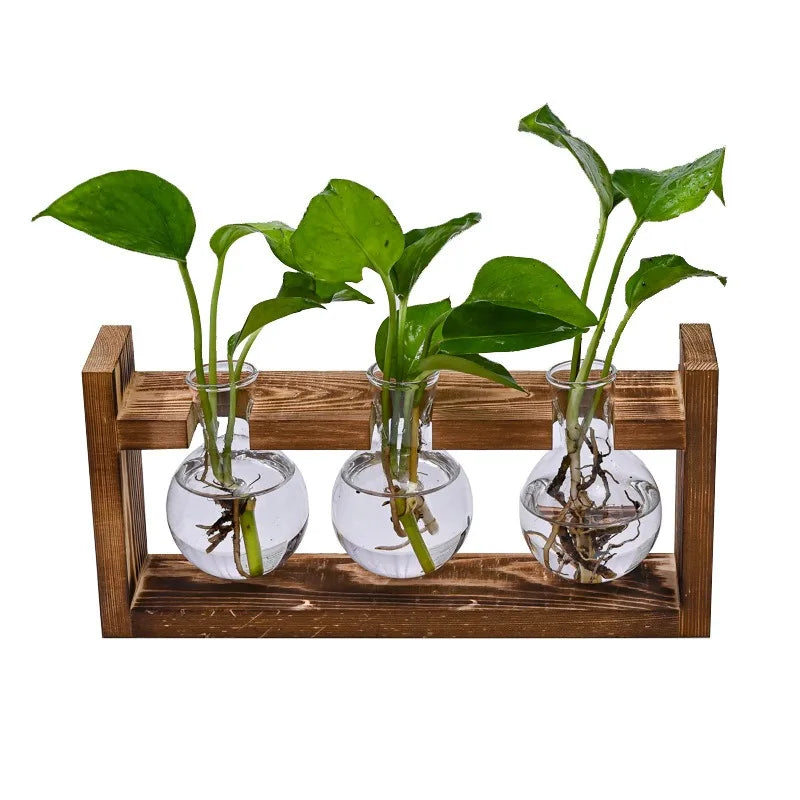 Creative Wooden Frame Hydroponic Small Vase, Green Ivy Plant, Glass Bottle Container, Home Living Room, Office Desk Decoration Vue