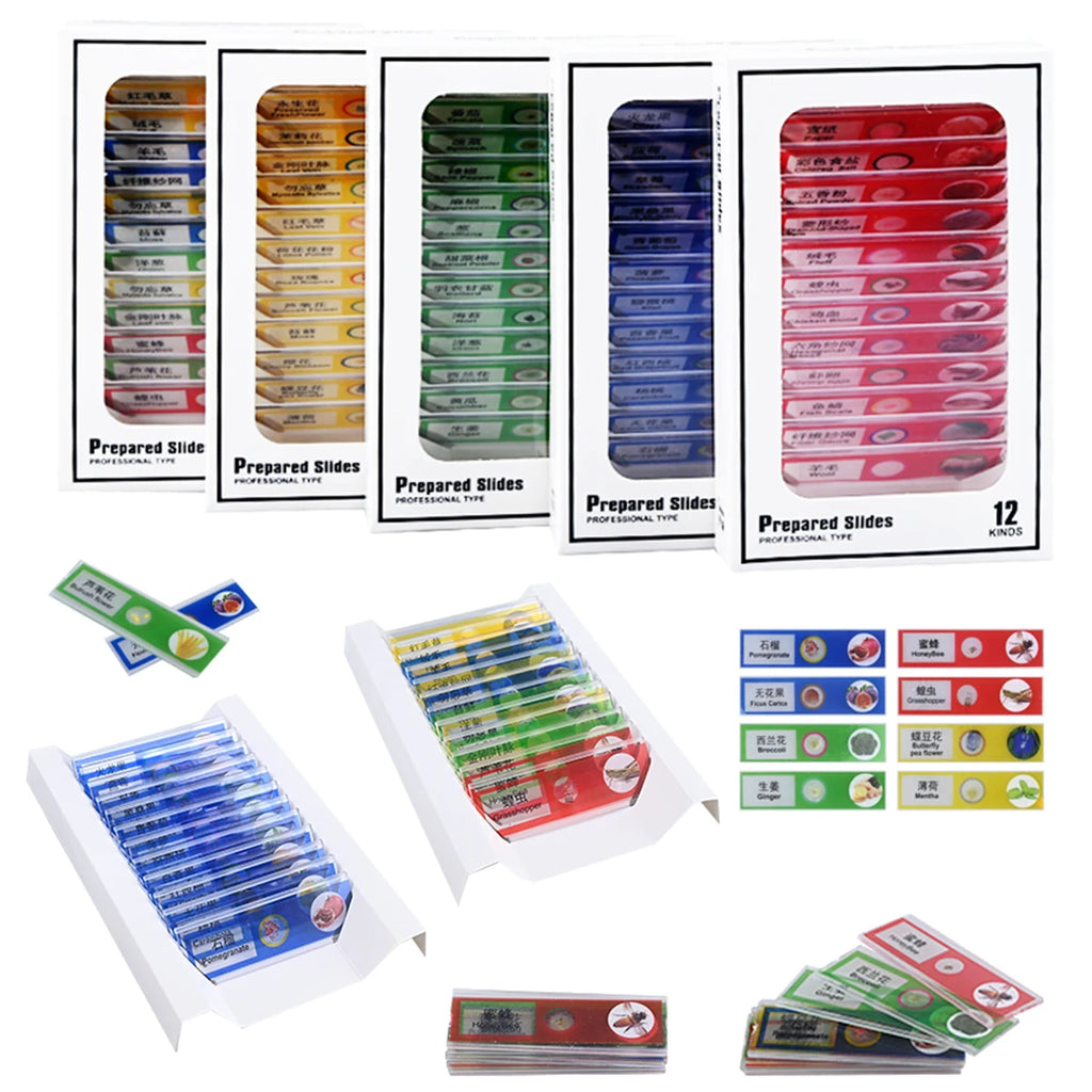 12Pcs Microscope Slides Toys, Plastic Biological Prepared Slide with Specimens Science Education for Kids Vue