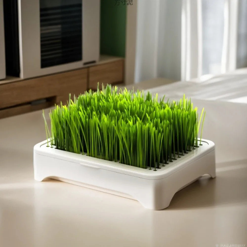 Plastic Cat Grass Planter Self-planted Tray Growth System Soil-Free Nursery Box 3 Layer Cultivation Pot Hydroponic Tray Vue