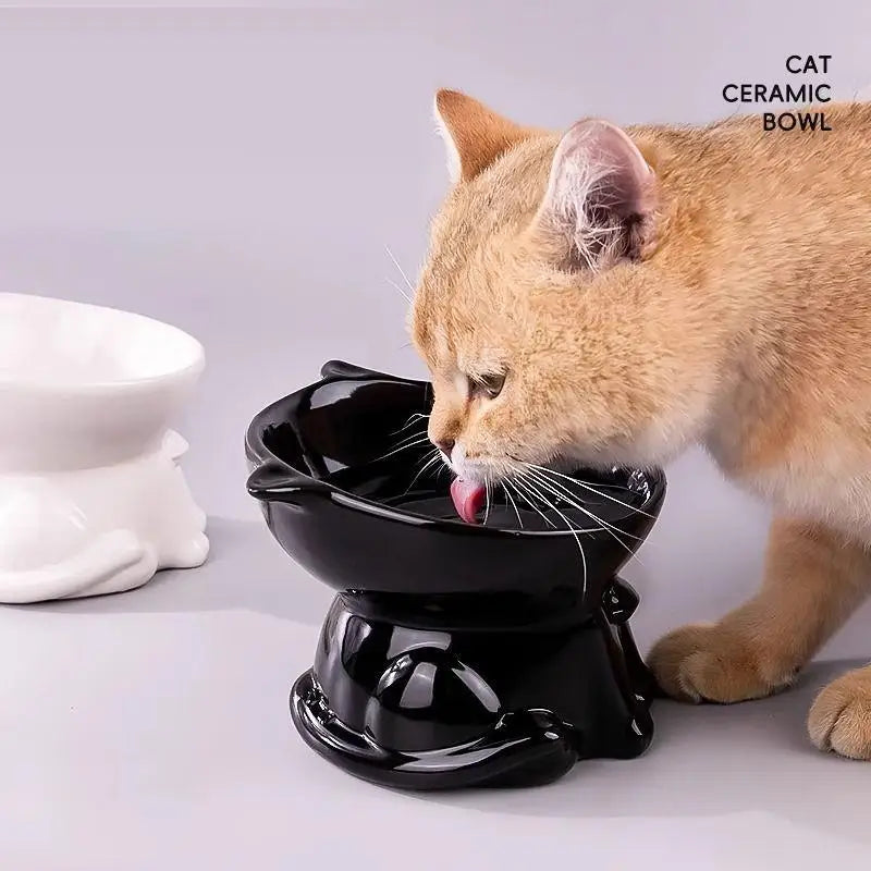 Raised Cat Bowl Anti-tipping 15 Degree Slant Tall Legs for Eating and Drinking Reduces Neck Strain in Multiple Room Settings Vue