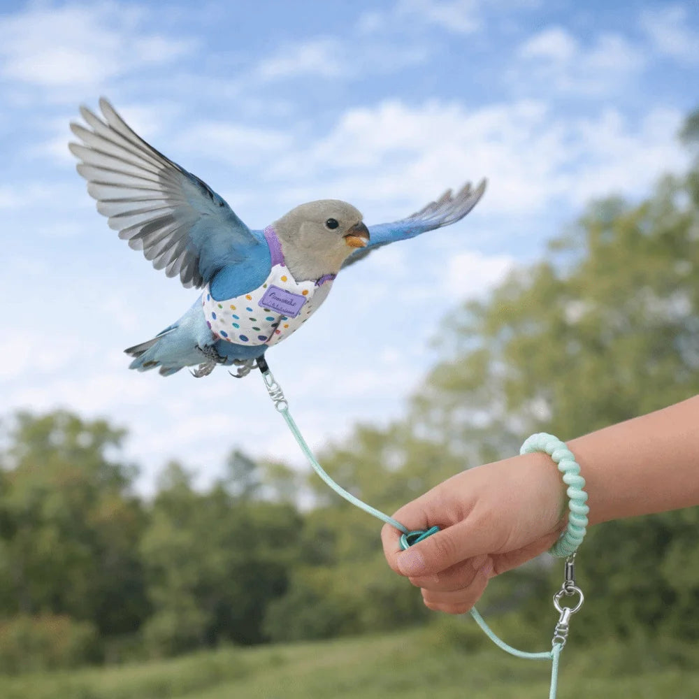 Escape Proof Parrot Flying Harness Polka Dot Print Anti-Bite Bird Harness Leash Breathable Bird Outgoing Leash Avian Vet Visits Vue