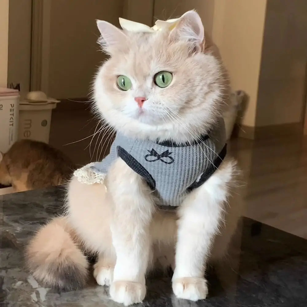 Breathable Waffle Pet Vest Lace-edged Comfortable Pet Short Sleeve Soft Cat Pattern Dog Undershirt Small Pets Vue