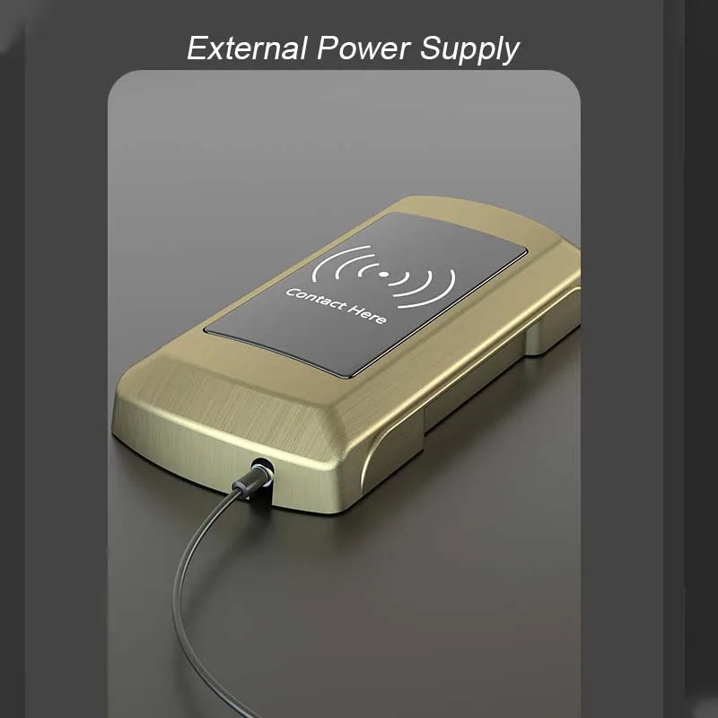 Zinc alloy RFID Gym Fitness Electronic Digital Locker Lock RF ID card Vue