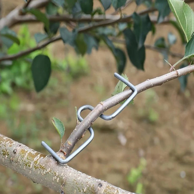 10PCS Reusable Branch Limb Spreader Garden Yard Trees Branches Fixator Strong Fruit Tree Support Holder Vine Trainers Vue