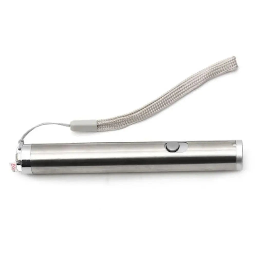Cats 2 In 1 Training Tools Funny Interactive LED Light Cat Play Chaser Pointer Vue silver