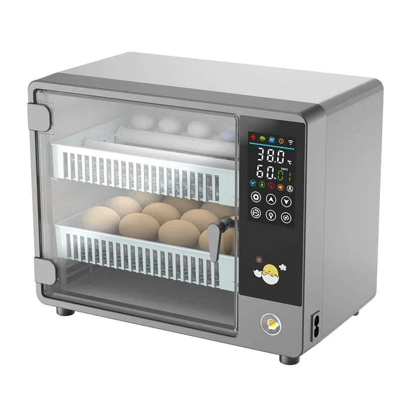 24-Egg Automatic Incubator for Chicken Quail & Bird Hatching Egg Incubator Vue