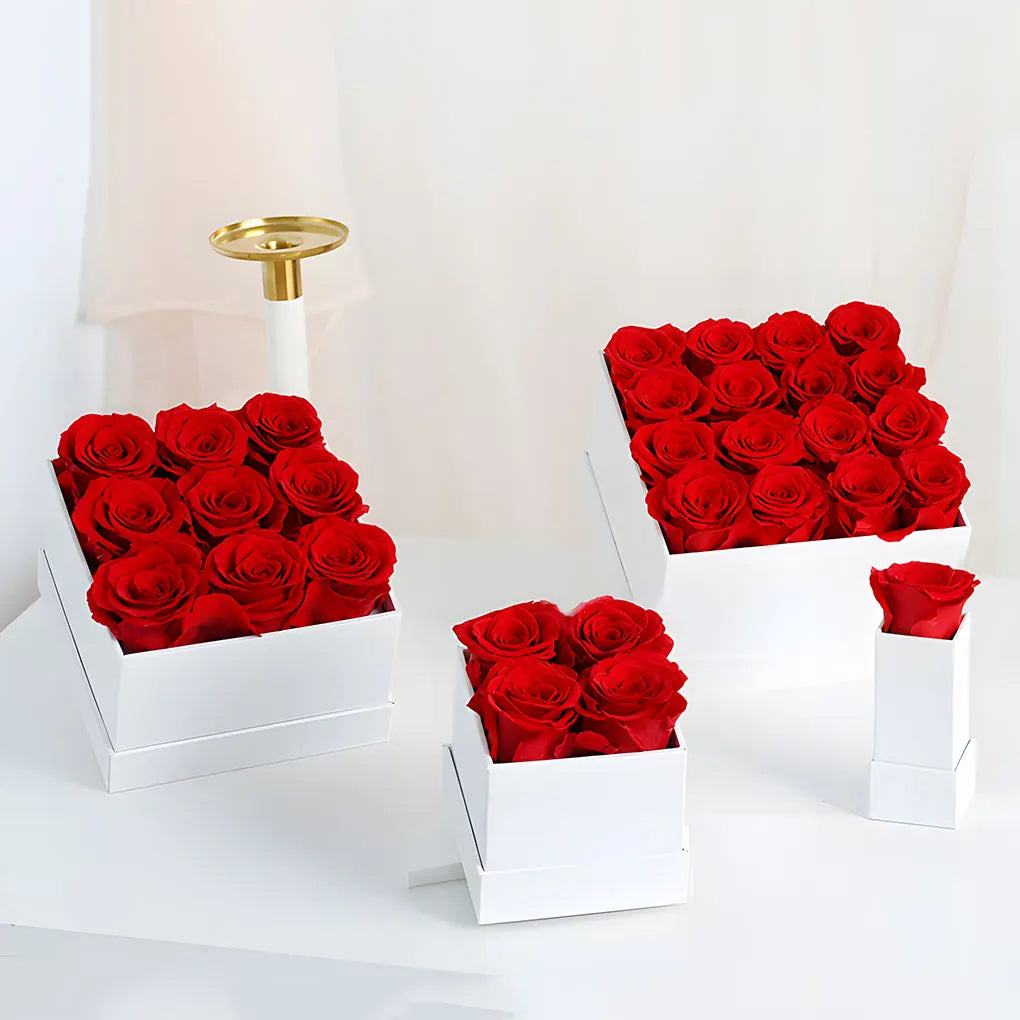 Preserved Rose Box Eternal Flower Immortal Roses Birthday Gift for Vue