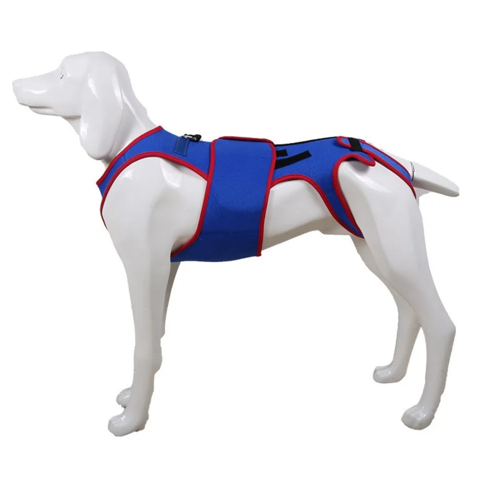 Adjustable Dog Back Brace Breathable Comfortable Pet Support Harness Back Protector Thickened Dog Soothing Clothes Vue Blue XL