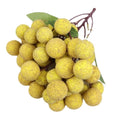 Durable Realistic Simulation Longan Lifelike Funny Artificial Fruit Decorative Handicrafts Fruit Model Shopwindow Ornament Vue other 50 Heads