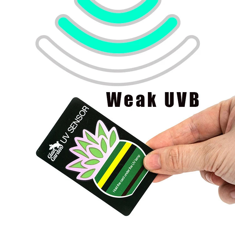 Reptile Accessories UVB UVC Light Lamp Bulb Test Card 10 Seconds Detection Of Crawler Pet UV Test Card Pet Supplies Vue