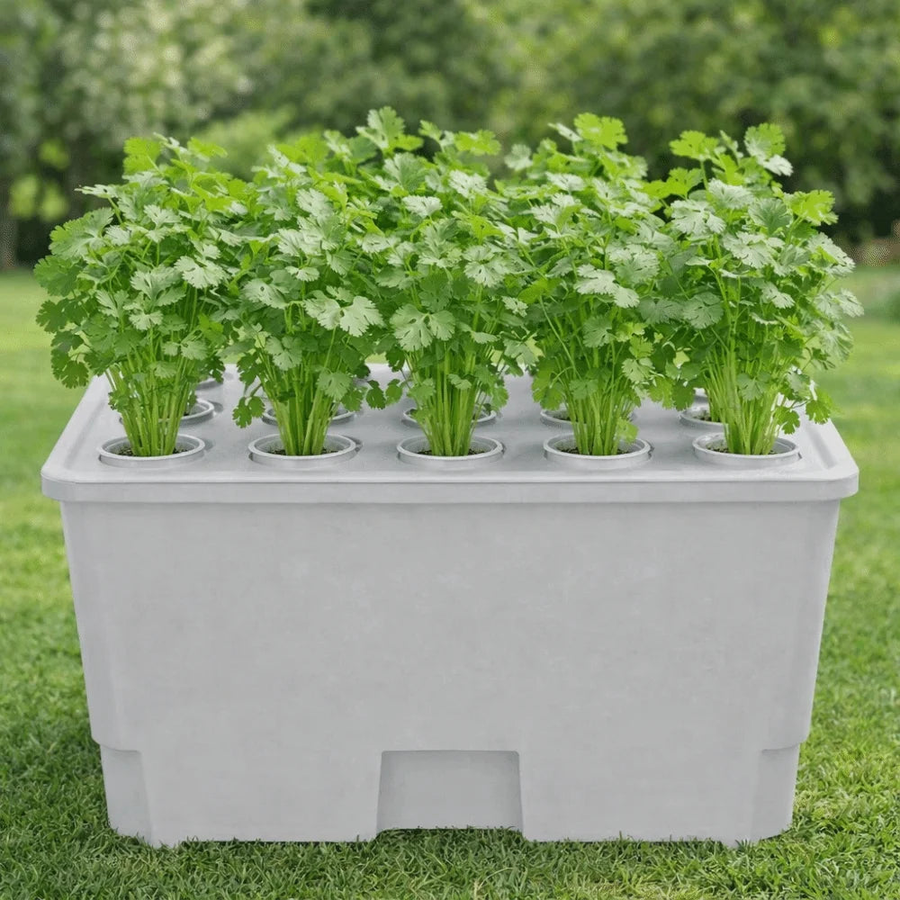 Split Design Hydroponic Box Thicken Nursery Pots Soil-Free Planting Box Plastic Planting Container Balcony Gardening Vue