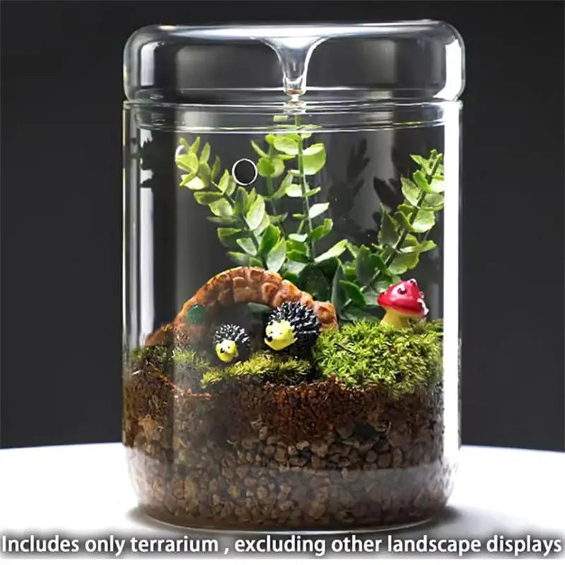 Glass Bottles Creativity Dew Collection Vase Micro Landscape