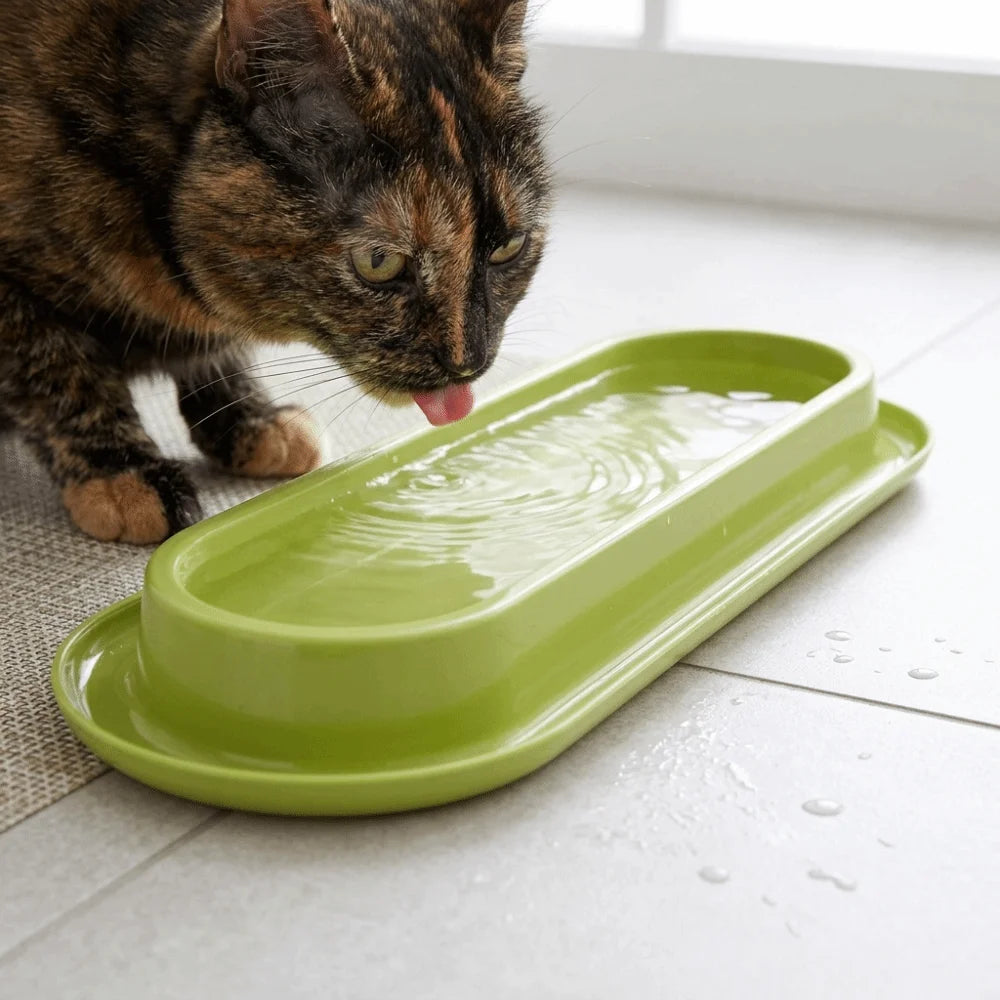 Pet Supplies Extra Long Pet Feeding Bowl Tilted Neck Protection Anti Slip Pet Bowl Large Capacity Cat Water Feeder Indoor Use Vue