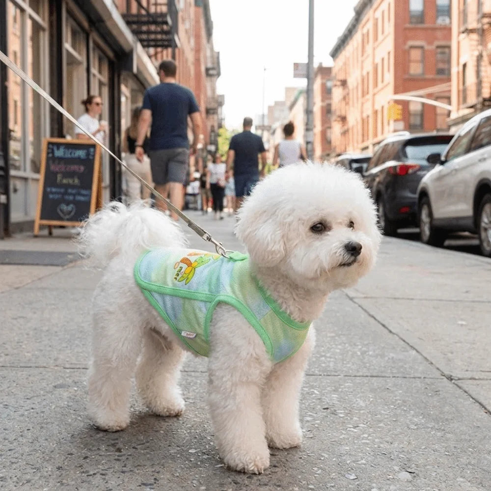 Striped Mesh Pet Cooling Vest Thin Breathable Cartoon Bear Pattern Dog Ice Silk T-shirt Lightweight Breathable Cooling Jacket Vue