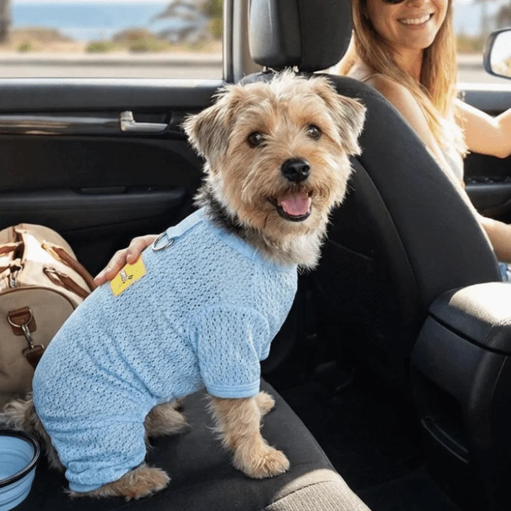 Breathable Mesh Dog Sun Protection Clothes Quick Drying Thin Dog Cooling Jumpsuit with Traction Summer Pet Clothes Indoor Vue