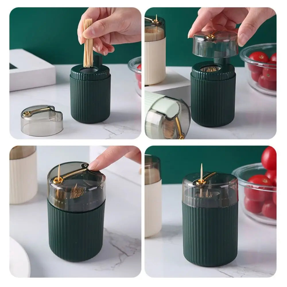 Automatic Toothpick Storage Box Push Type Hygienic Tooth Pick Containers Portable Large Capacity Toothpick Dispenser Home Use Vue