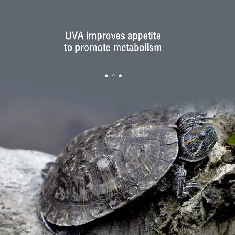 3 in1 Reptile UVA+UVB Lamp Bulb 5.0/10.0 Full Spectrum Turtle Basking UV Light Lizards Heating Lamp Temperature Controller Vue