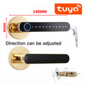 Smart Door Handle Fingerprint Password Digital Lock Tuya App Keyless Entry for Doors Smart Electronic Lock Vue T8gold
