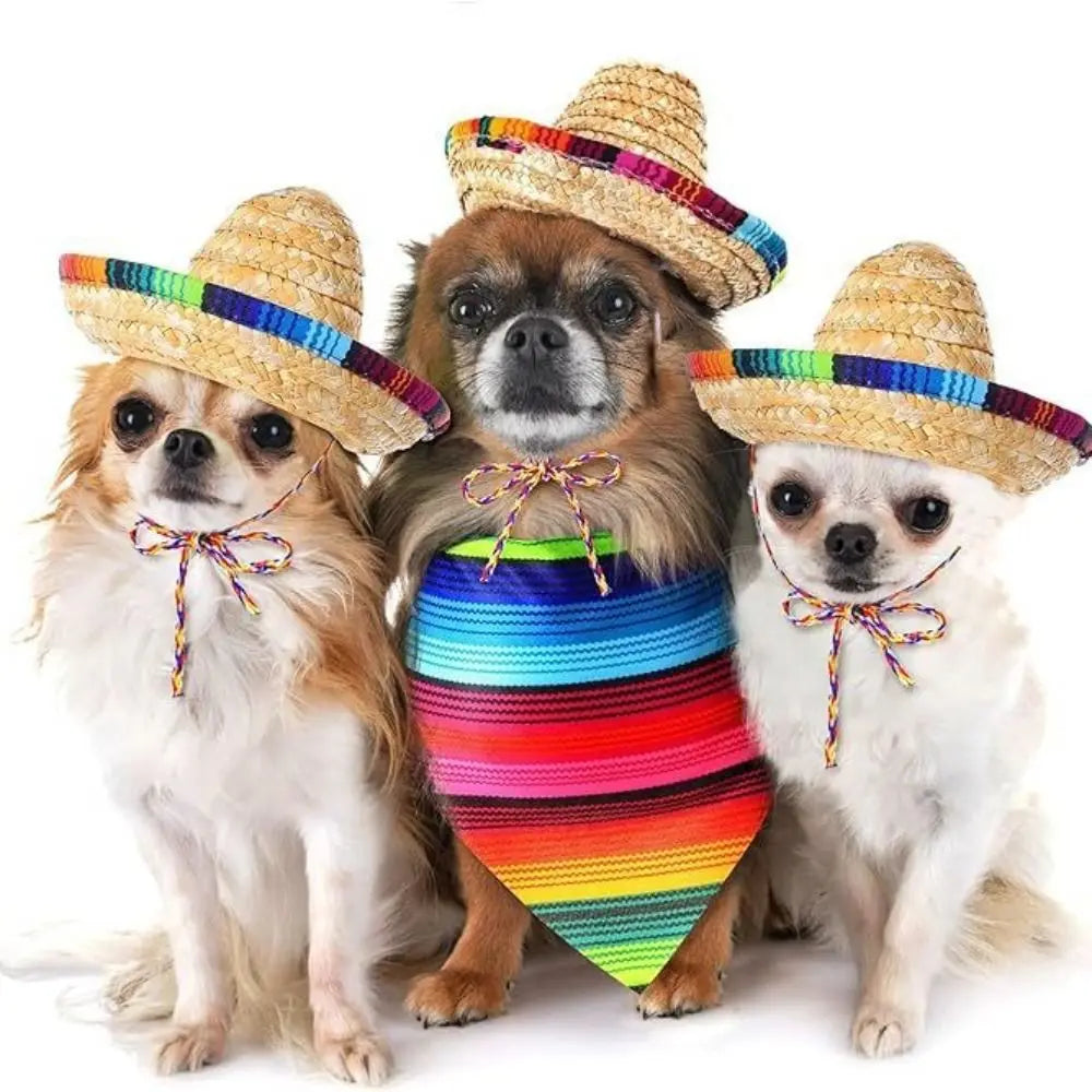 Dog Cat Straw Woven Sun Hat Cap Cute Puppy Mexican Sombrero Pet