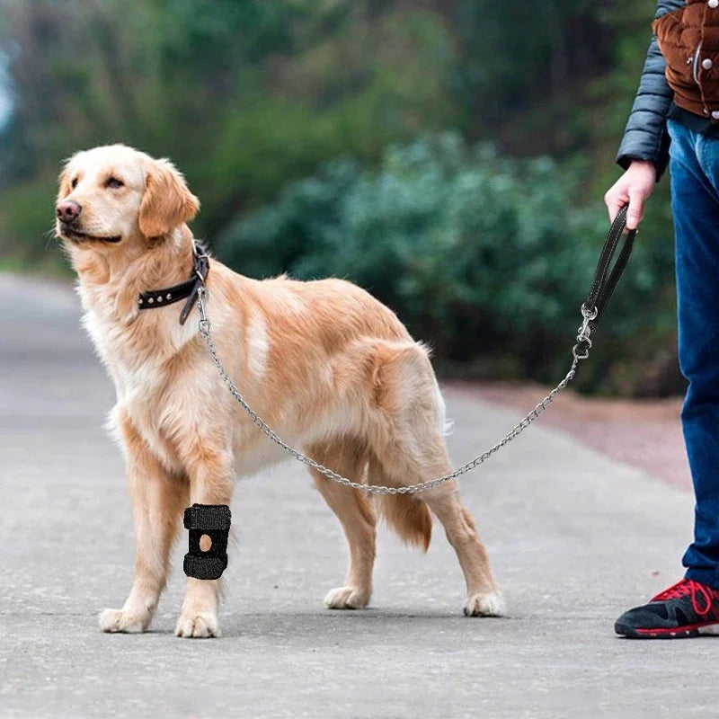 Pet Dog Knee Brace Patella Support Leg Wrap Joint Guard Adjustable Breathable For Dogs And Cats Rehab After Surgery Recovery Vue