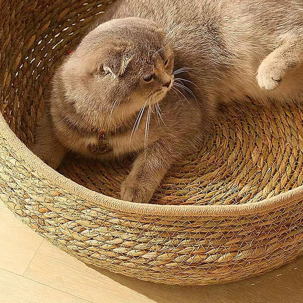 35x13cm Round Cotton Rope Cat Bed, All Season Woven Pet Sleeping Basket with Pillow, Comfortable Kitten Resting Nest for Home Vue