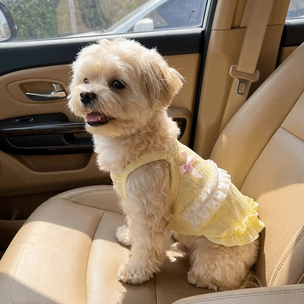 Fashion Breathable Pet Tank Top Floral Lace Lightweight Dog Dresses Princess Sleeveless Puppy Sling Skirt Summer Daily Wear Vue