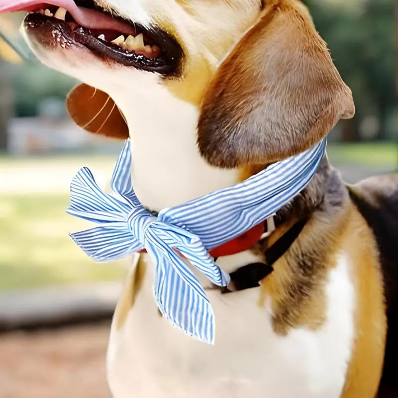 Pet Cooling Ice Scarf Cool Ice Breathable Towel Heatstroke Dogs Cats Ice Collar Cat Adjustable Collar Bibpet Supplies Vue