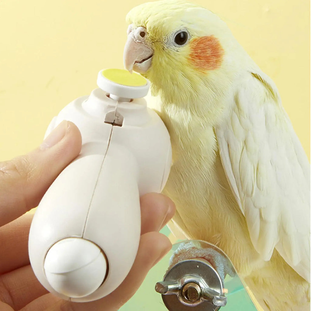 Parrot Nail Trimmer Rechargeable Noiseless Beak Grinder Multipurpose Bird Care Supplies Nail Trimming Tool with 6 Grinding Heads Vue